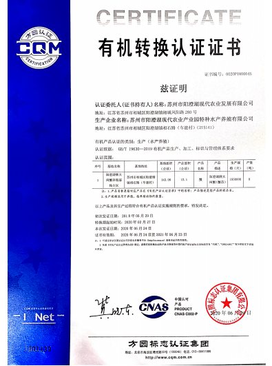 新奧門特免費資料大全火鳳凰|處理釋義解釋落實,新澳門特免費資料大全火鳳凰，處理釋義、解釋與落實