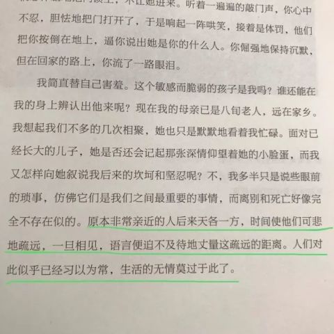 600圖庫(kù)大全免費(fèi)資料圖|生命釋義解釋落實(shí),探索生命釋義與落實(shí)，從600圖庫(kù)大全免費(fèi)資料圖說起