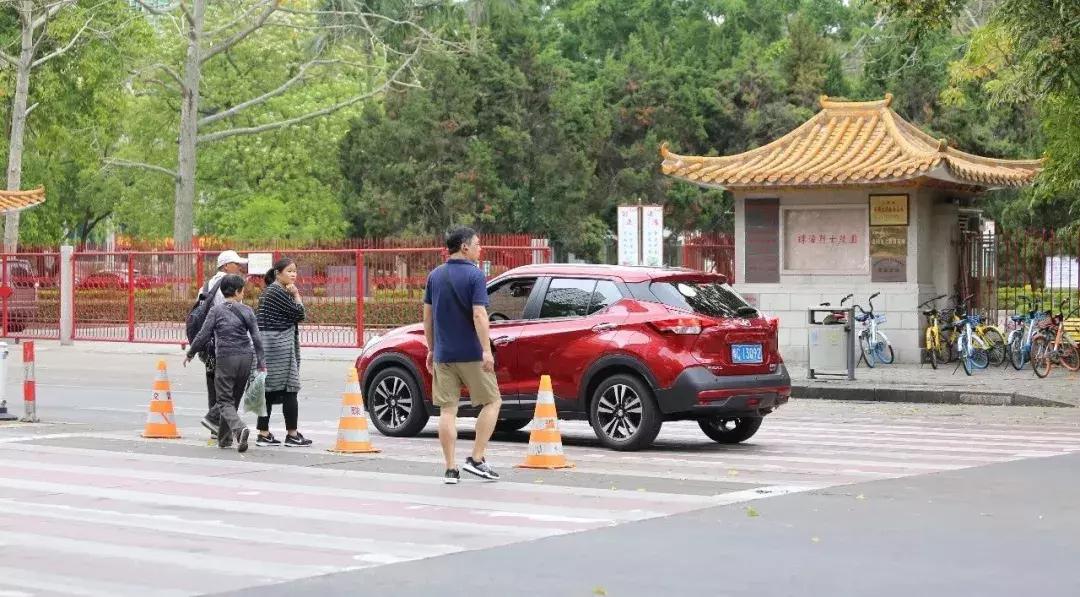 珠海駕車撞行人的原因|政策釋義解釋落實(shí),珠海駕車撞行人原因探究與政策釋義落實(shí)分析