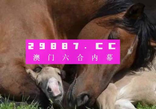 4949澳門特馬今晚開獎53期|共同釋義解釋落實,澳門特馬第53期開獎與共同釋義解釋落實