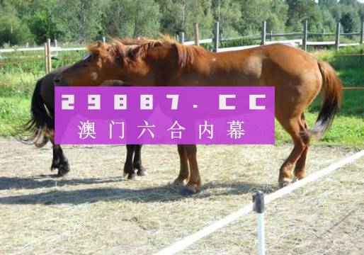 4949澳門特馬今晚開獎53期|機(jī)動釋義解釋落實(shí),澳門特馬第53期開獎揭曉，機(jī)動釋義與落實(shí)的重要性