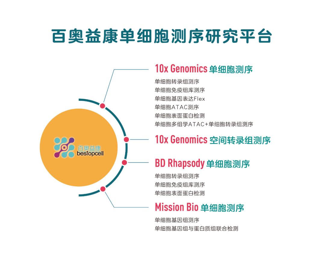 62449免費(fèi)資料中特|鏈實(shí)釋義解釋落實(shí),探索62449免費(fèi)資料中的特殊鏈接，實(shí)踐釋義與落實(shí)策略