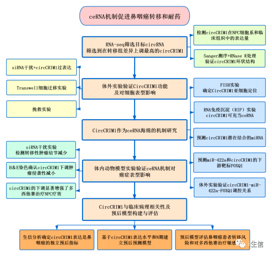 2024新澳今晚資料免費(fèi),機(jī)制評(píng)估方案_煉骨境77.397