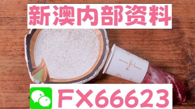 新澳精準(zhǔn)資料免費(fèi)提供網(wǎng)|不僅釋義解釋落實(shí),新澳精準(zhǔn)資料免費(fèi)提供網(wǎng)，釋義解釋與深入落實(shí)的探討