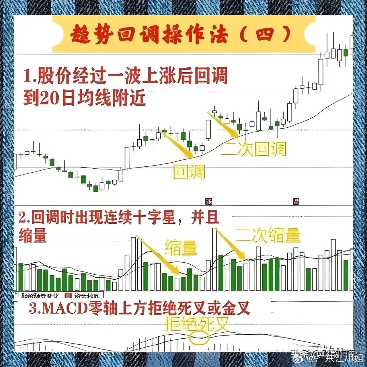 2025年2月5日 第14頁