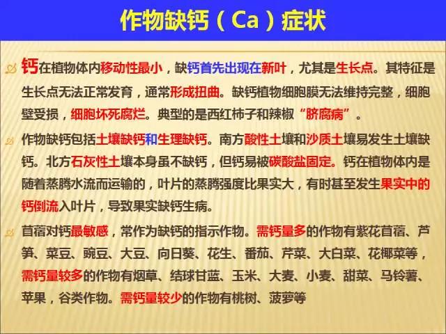 新澳2024天天正版資料大全,科學(xué)解說指法律_經(jīng)典版60.896