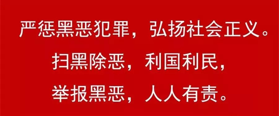 新奧天天免費資料公開,社會責(zé)任法案實施_家居版14.407