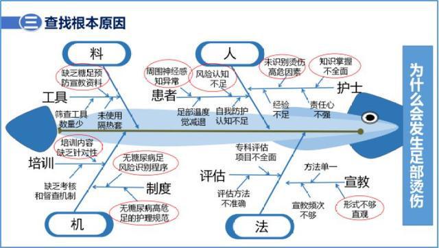 2024新奧精準(zhǔn)資料大全,科學(xué)分析嚴(yán)謹(jǐn)解釋_貼心版66.560