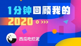 2024新澳門今晚開特馬直播,操作實踐評估_穿戴版5.366