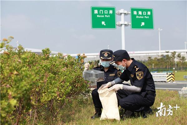 新澳門(mén)一碼一碼100準(zhǔn),效率評(píng)估方案_L版47.344