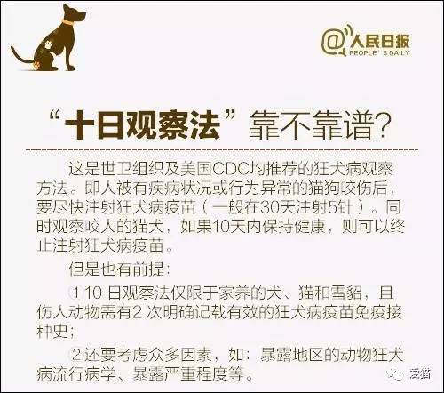 新澳天天開獎資料大全最新54期129期|準確釋義解釋落實,新澳天天開獎資料大全最新期數(shù)解讀與準確釋義解釋落實