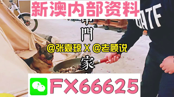 新澳門精準(zhǔn)資料大全管家婆料|功率釋義解釋落實,新澳門精準(zhǔn)資料大全與功率釋義，深度解析與落實策略