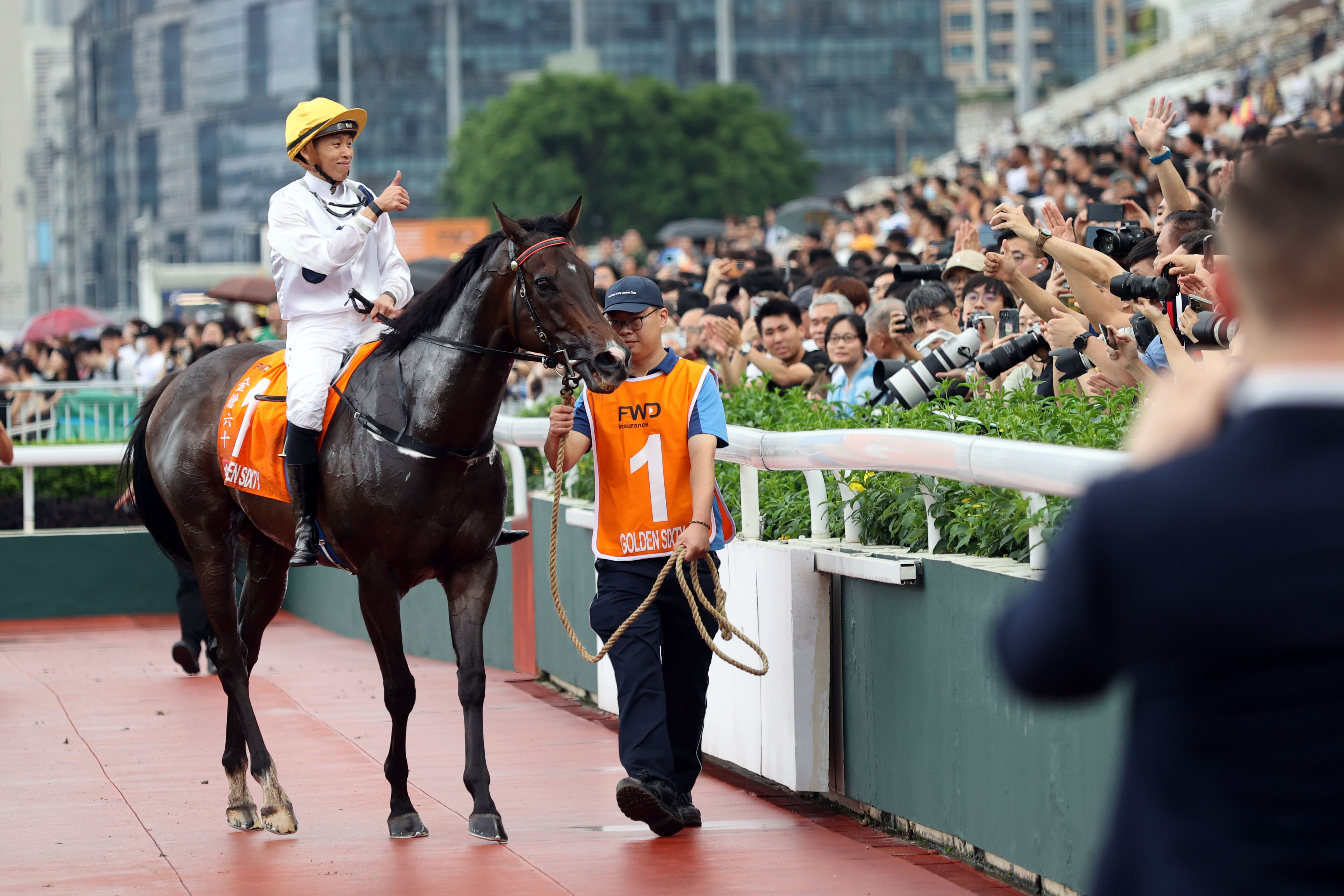 2024香港賽馬全年免費(fèi)資料,全身心數(shù)據(jù)指導(dǎo)枕_兼容版40.246 - 副本