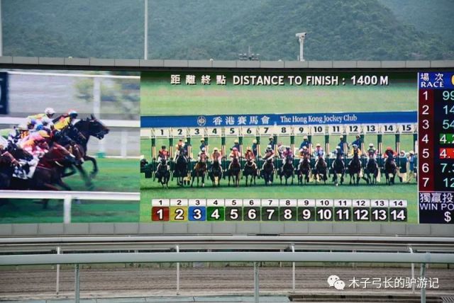 2024香港賽馬全年免費(fèi)資料,實(shí)踐調(diào)查說(shuō)明_定義版60.362 - 副本