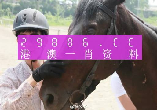 澳門精準一肖一碼一一中,專業(yè)解讀評估_見證版58.555 - 副本