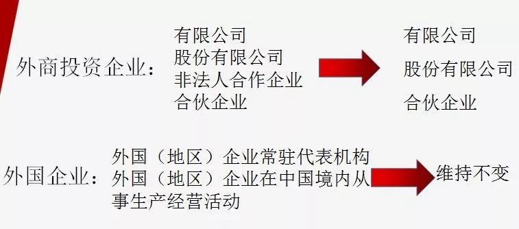 新澳門今晚精準(zhǔn)一肖|冷靜釋義解釋落實(shí),新澳門今晚精準(zhǔn)一肖與冷靜釋義，解釋與落實(shí)的重要性