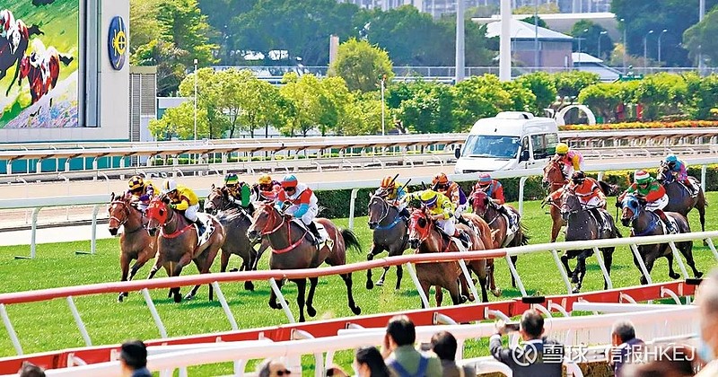 2024香港賽馬全年免費(fèi)資料,經(jīng)濟(jì)學(xué)_SE版20.440 - 副本