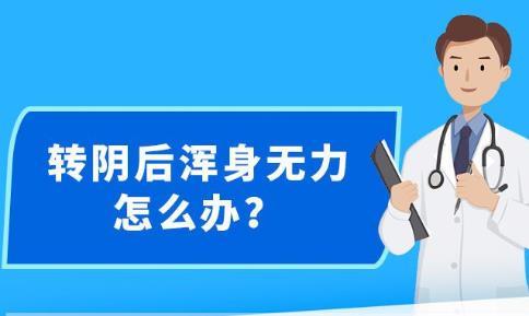 新澳精準資料免費提供大全下載|吸收釋義解釋落實,新澳精準資料免費提供大全下載，吸收釋義、解釋與落實的重要性