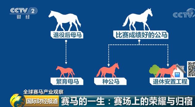 2025澳門特馬最準(zhǔn)網(wǎng)站|聚精釋義解釋落實(shí),聚焦澳門特馬，精準(zhǔn)預(yù)測(cè)與網(wǎng)站解析的落實(shí)之道