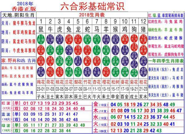 澳門正版資料大全資料生肖卡,實時數(shù)據(jù)分析_教育版87.916 - 副本