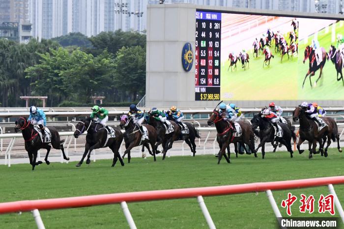 2024香港賽馬全年免費(fèi)資料,多元化診斷解決_復(fù)興版59.835