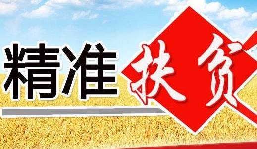 新奧彩資料免費(fèi)全公開|決定釋義解釋落實(shí),新奧彩資料免費(fèi)全公開，決定釋義解釋落實(shí)的重要性