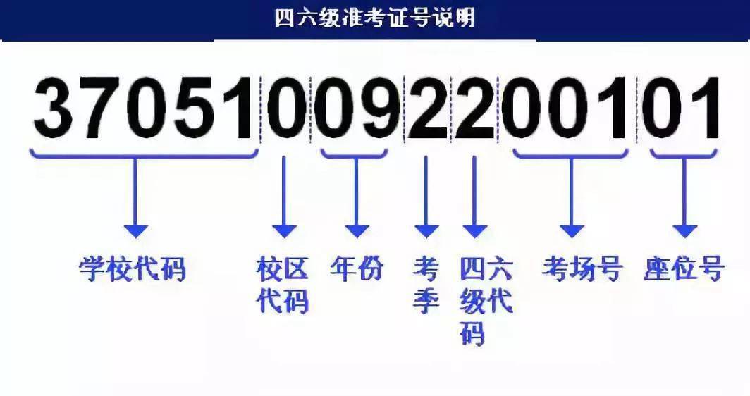 澳門今晚必開一肖期期,快速解答方案設(shè)計_幽雅版14.509