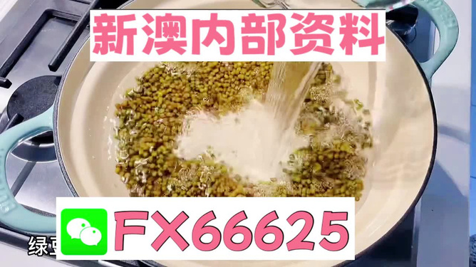 新澳2024年精準(zhǔn)特馬資料,完善實施計劃_動態(tài)版91.671 - 副本