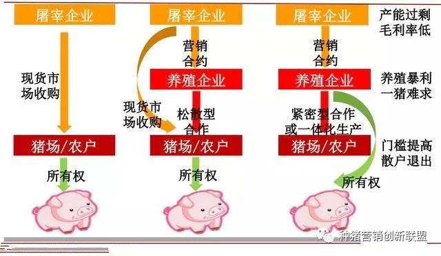 2024新澳正版免費資料的特點,實際調(diào)研解析_創(chuàng)意版47.470