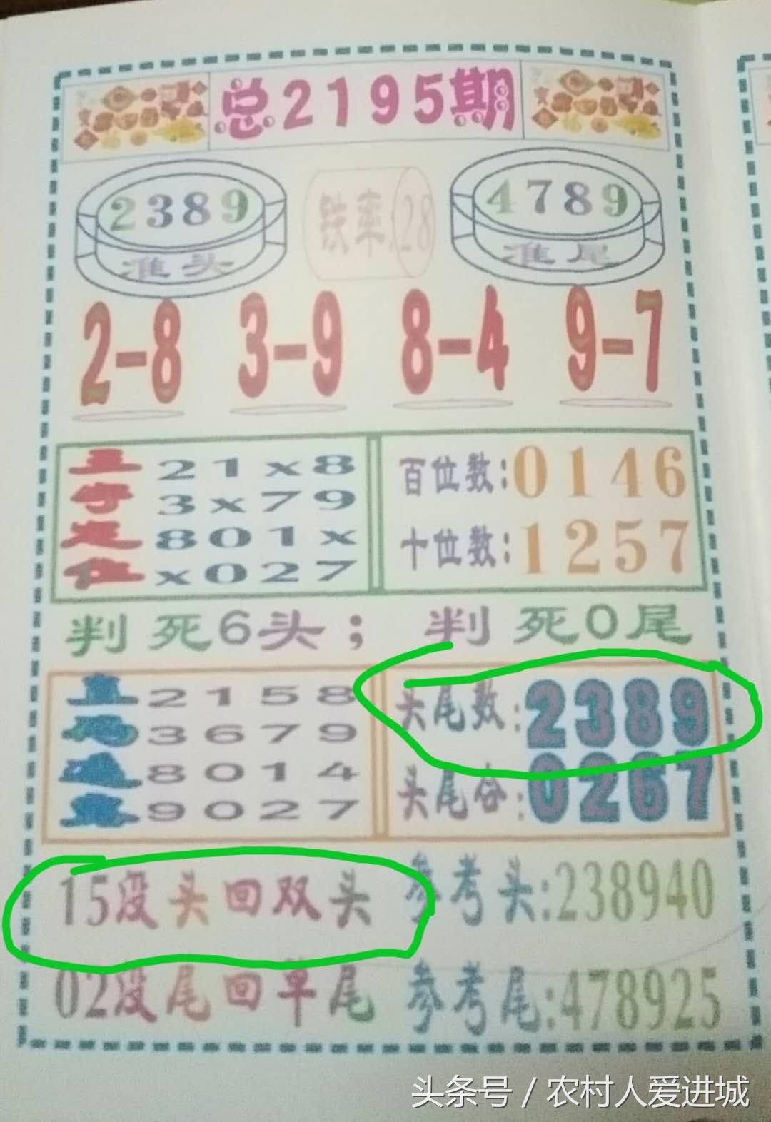 澳門一肖中100%期期準(zhǔn)海南特區(qū)號(hào)|精細(xì)釋義解釋落實(shí),澳門一肖中100%期期準(zhǔn)海南特區(qū)號(hào)，精細(xì)釋義、解釋與落實(shí)