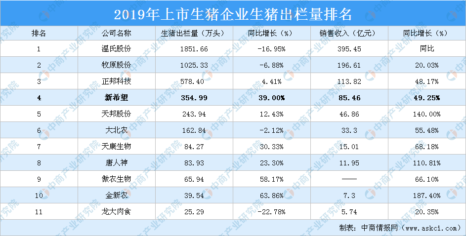 2025新澳精準資料大全|項目釋義解釋落實,新澳精準資料大全，項目釋義解釋與落實策略