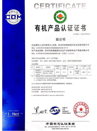 新奧門特免費(fèi)資料大全|透徹釋義解釋落實(shí),新澳門特免費(fèi)資料大全，透徹釋義解釋落實(shí)的重要性