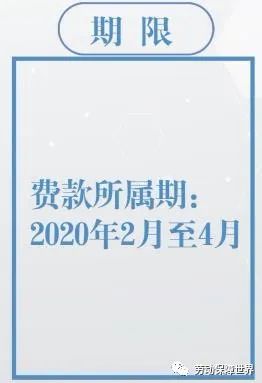 新奧精準(zhǔn)資料免費(fèi)提供510期|明凈釋義解釋落實(shí),新奧精準(zhǔn)資料免費(fèi)提供第510期，明凈釋義與落實(shí)的深度解析